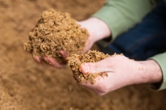 Image Bagasse pulp