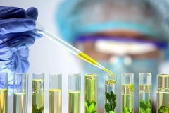 Image Scientist working with green chemicals in lab