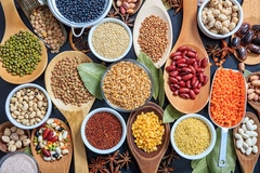 Image Composition of various kinds of pulses
