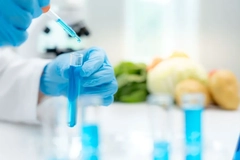Image food scientist working in lab