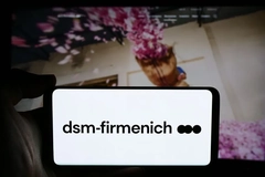 Image dsm logo