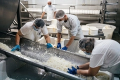 Image Dairy industry.