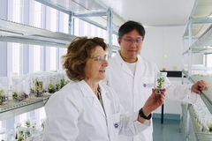 man and woman in lab with plant tissue sample