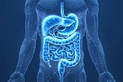 Abstract wireframe intestinal human digestive system.