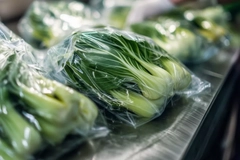 Bags of vegetables