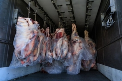 Beef shipment.