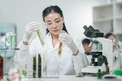 Image Researcher with botanicals