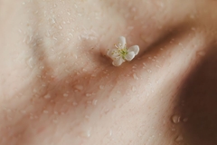 Image closeup of flower on skin