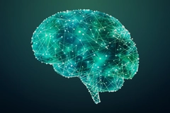 Image Glowing teal brain illustration made of connected nodes and lines, representing neural activity and cognitive health, paired with messaging about Magtein® magnesium L-threonate and improved brain bioa