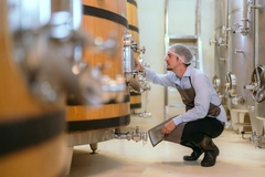 Image Fermentation.