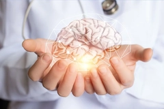 Image Illustration of human brain