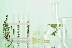 Botanical ingredients