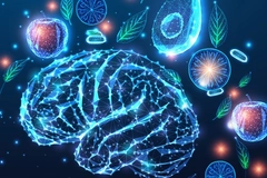 blue brain outline digital blue brain digital image