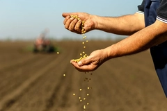 Image Seed breeding farmer.