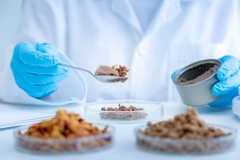 Scientist testing cat food