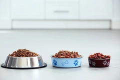 Pet food bowl