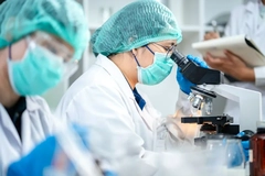 A scientist looks through a microscope at dairy products in a lab. A scientist looks through a microscope at dairy products in a lab.