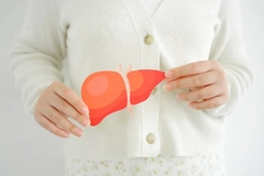 Image Diagram of human liver
