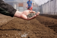 Image hands with fertilizer pellets