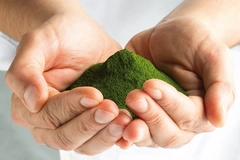 Image Marine microalgae powder