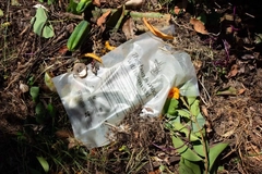 Image A plastic bag on the ground