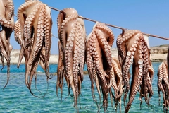 Octopus hanging from a rope above the ocean.