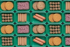 Image plant-based mets on plastic tray