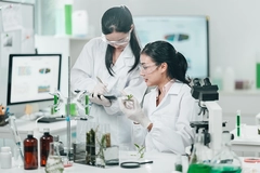 Image Botanical Synthesis lab.