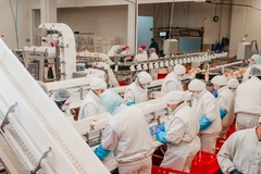 Image workers processing foods in factory