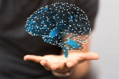 brain neurons