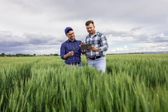 Image Two farmers in a field of crops.