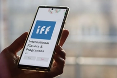 A hand holding a phone that says IFF.