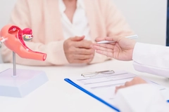 patient consults with doctor with vagina model on table