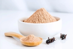 Bowl of cricket flour