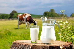 Image Jug of cow's milk
