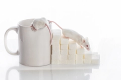 Image Sugar cubes