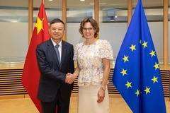 Image A person and person shaking hands in front of flags