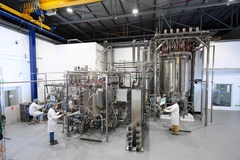 Image Brevel plant (Credit: David Grab)