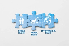 Jigsaw puzzle pieces on white background with icon, the words symbolize the interconnection of human health, animal health, and environmental health