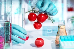 Gloved hands hold fresh cherry tomatoes in a smart food laboratory with blurred background and holographic AI data.