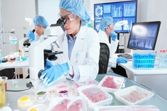 Image Food science laboratory testing.