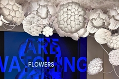 Image dsm-firmenich activation photo flowers and title