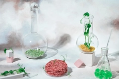 Image meat and seeds in lab