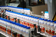 Image Danone yogurt drinks on the production line.