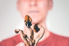 Image man holding magic mushrooms for psilocybin therapy