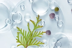 Image Cosmetic ingredients in lab equipment with leaf