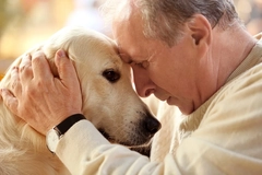 Image Elderly man with his elderly dog