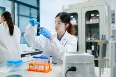 Image Research on gut microbime