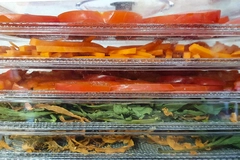 Image Vegetables are designed to be dried in a dehydrator.