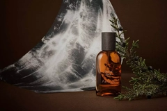 Image glass fragrance bottle in smoky background with pine branch